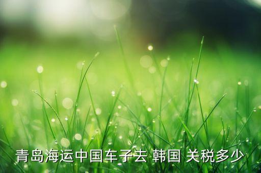 青島海運(yùn)中國車子去 韓國 關(guān)稅多少