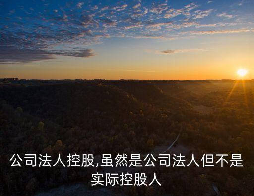 關(guān)于公司法人控股,雖然是公司法人但不是實際控股人