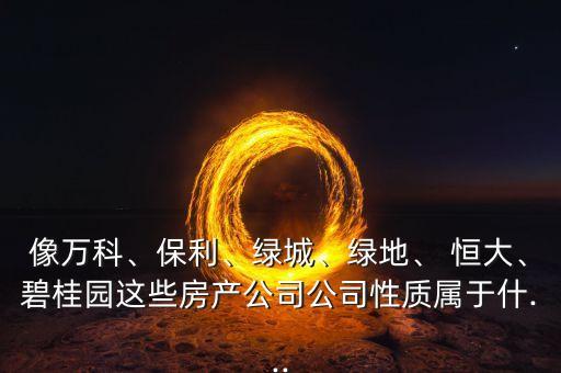 像萬科、保利、綠城、綠地、 恒大、碧桂園這些房產(chǎn)公司公司性質(zhì)屬于什...