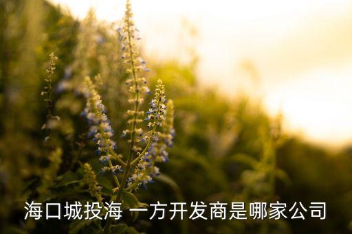 ?？诔峭逗?一方開發(fā)商是哪家公司