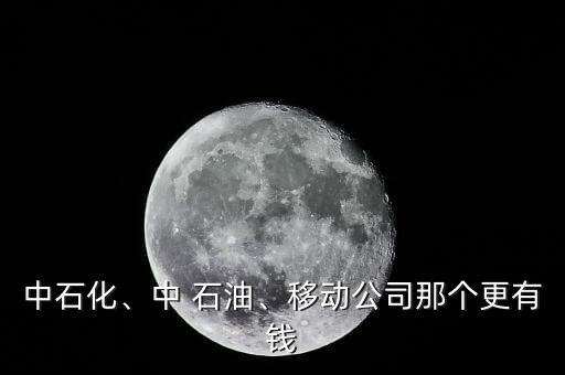 中石化、中 石油、移動公司那個更有錢