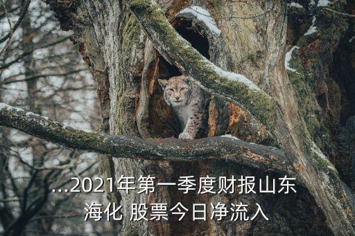 st?；善??；善睔v史交易數(shù)據(jù)