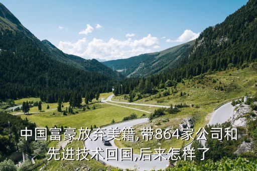 中國富豪放棄美籍,帶864家公司和先進技術(shù)回國,后來怎樣了