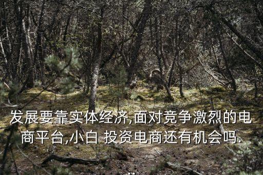 發(fā)展要靠實體經(jīng)濟(jì),面對競爭激烈的電商平臺,小白 投資電商還有機(jī)會嗎...