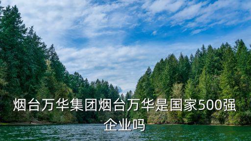 煙臺(tái)萬華集團(tuán)煙臺(tái)萬華是國(guó)家500強(qiáng)企業(yè)嗎