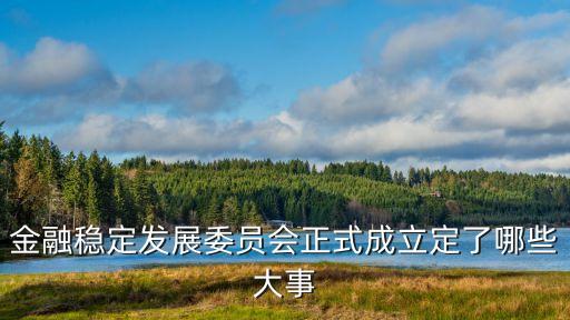 金融穩(wěn)定發(fā)展委員會(huì)正式成立定了哪些大事