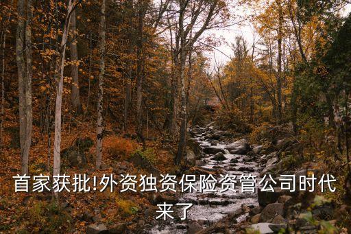 首家獲批!外資獨資保險資管公司時代來了