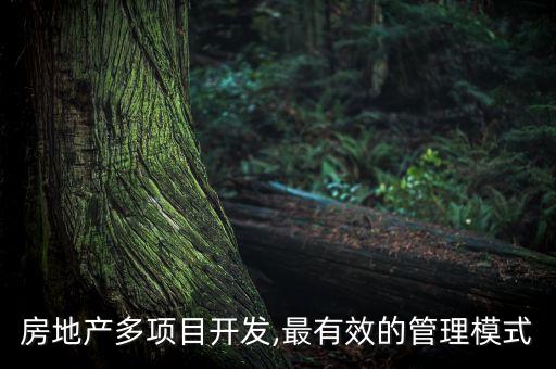 房地產多項目開發(fā),最有效的管理模式