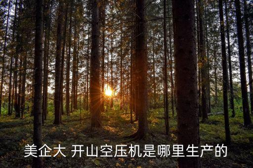 美企大 開山空壓機是哪里生產的