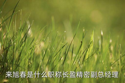 來(lái)旭春是什么職稱(chēng)長(zhǎng)盈精密副總經(jīng)理