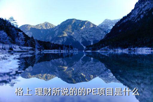  格上 理財(cái)所說的的PE項(xiàng)目是什么