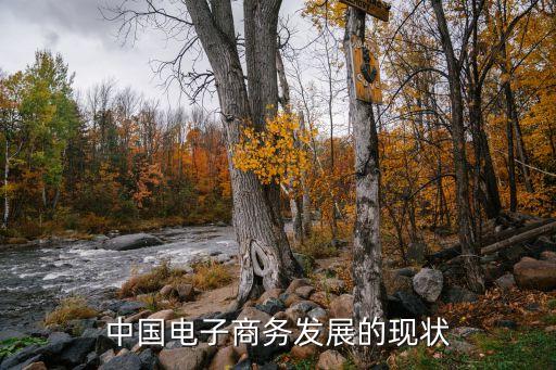 中國電子商務發(fā)展的現(xiàn)狀