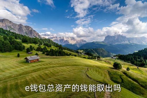 e錢(qián)包總資產(chǎn)的錢(qián)能取出嗎
