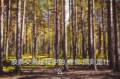  股票交易過程中的 競(jìng)價(jià) 原則是什么