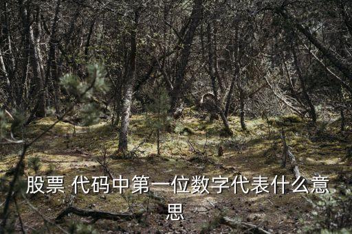  股票 代碼中第一位數(shù)字代表什么意思