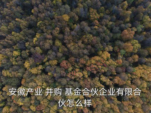 安徽產(chǎn)業(yè) 并購(gòu) 基金合伙企業(yè)有限合伙怎么樣