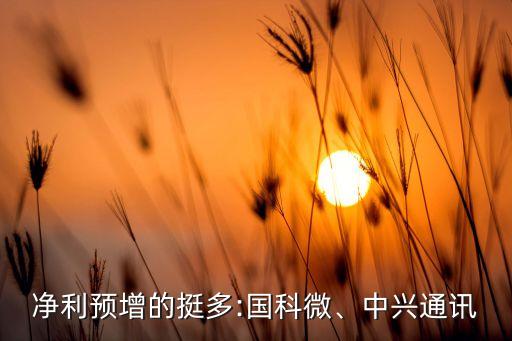 凈利預(yù)增的挺多:國(guó)科微、中興通訊
