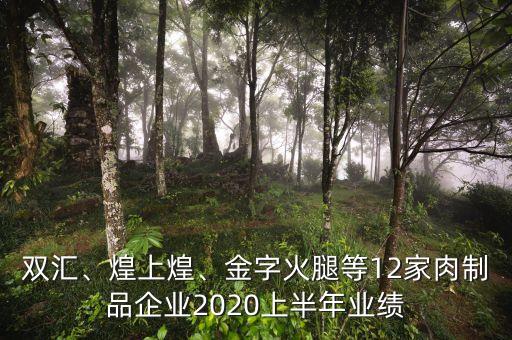 雙匯、煌上煌、金字火腿等12家肉制品企業(yè)2020上半年業(yè)績
