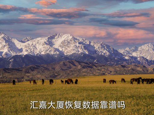  匯嘉大廈恢復數據靠譜嗎