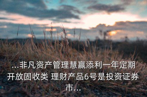 ...非凡資產(chǎn)管理慧贏添利一年定期開(kāi)放固收類 理財(cái)產(chǎn)品6號(hào)是投資證券市...
