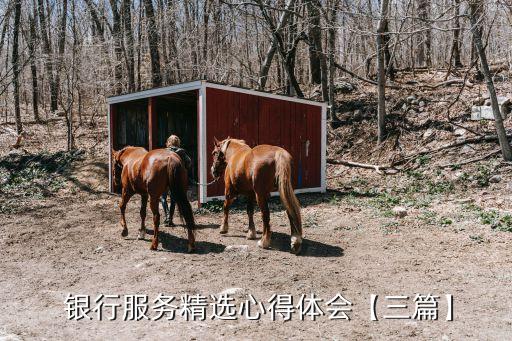  銀行服務精選心得體會【三篇】