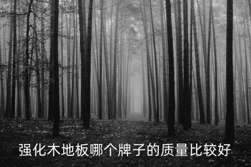 強化木地板哪個牌子的質量比較好