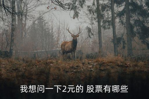 我想問一下2元的 股票有哪些