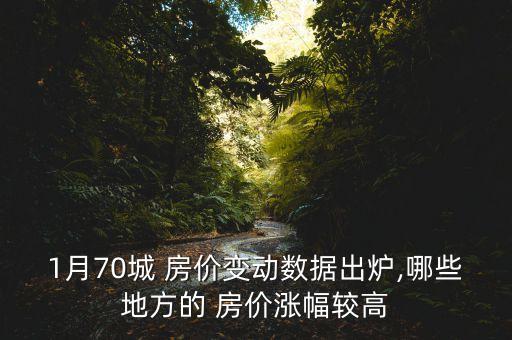1月70城 房價變動數據出爐,哪些地方的 房價漲幅較高