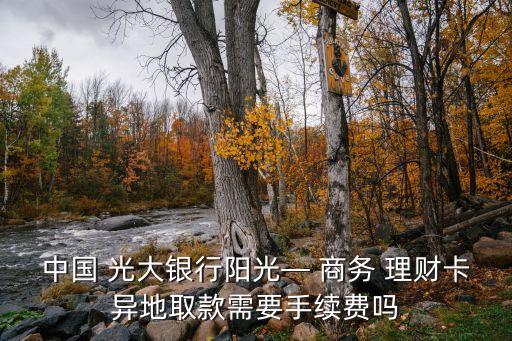 光大銀行商務(wù)理財(cái)卡簡(jiǎn)介,中國光大銀行陽光理財(cái)卡
