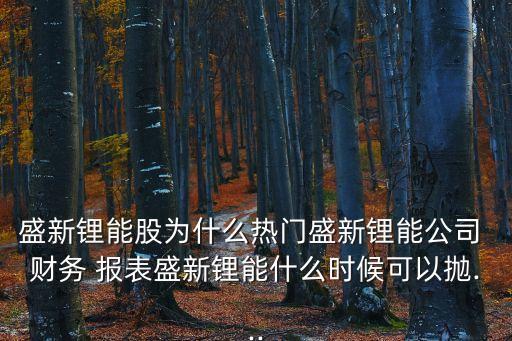 上海致遠(yuǎn)綠色能源公司財務(wù)報表