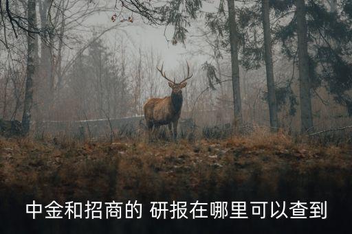 中金和招商的 研報在哪里可以查到