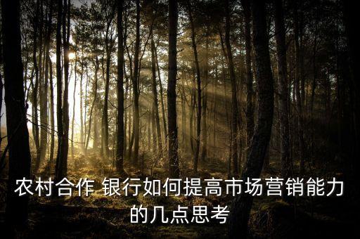 農(nóng)村合作 銀行如何提高市場(chǎng)營銷能力的幾點(diǎn)思考