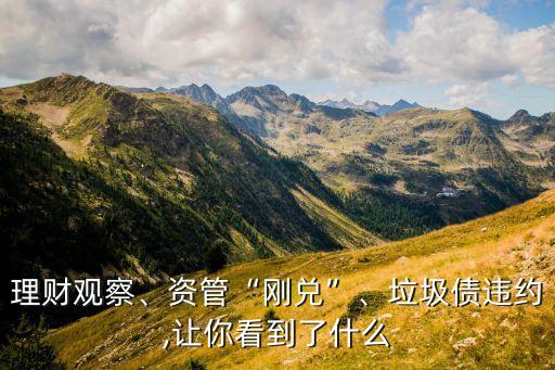 理財觀察、資管“剛兌”、垃圾債違約,讓你看到了什么