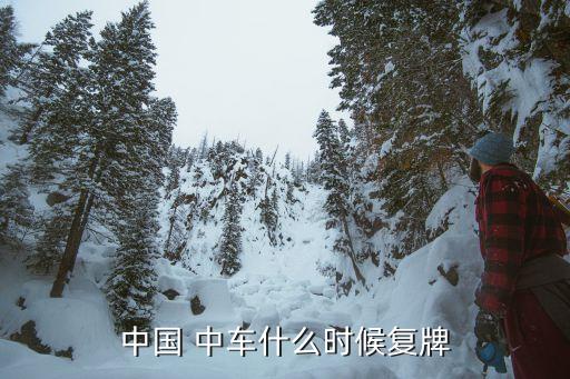 中國(guó) 中車(chē)什么時(shí)候復(fù)牌
