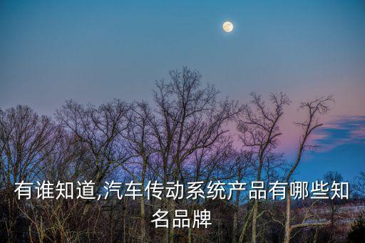 有誰(shuí)知道,汽車(chē)傳動(dòng)系統(tǒng)產(chǎn)品有哪些知名品牌