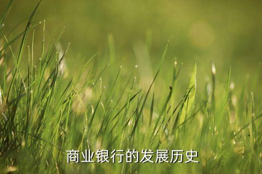 國內(nèi)商業(yè)銀行資產(chǎn)托管業(yè)務(wù)起源與發(fā)展簡(jiǎn)介,商業(yè)銀行資產(chǎn)托管業(yè)務(wù)有哪些