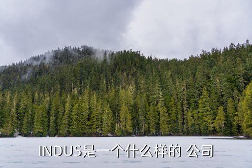 INDUS是一個(gè)什么樣的 公司