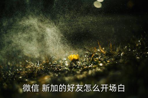 微信 新加的好友怎么開(kāi)場(chǎng)白