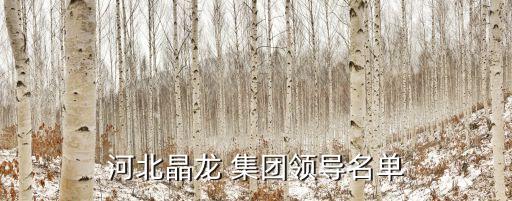 河北晶龍 集團領導名單