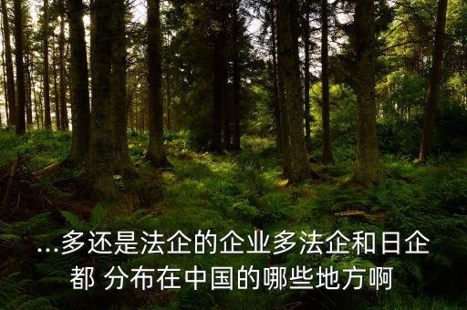 日企在中國(guó)的分布,德企在中國(guó)城市分布