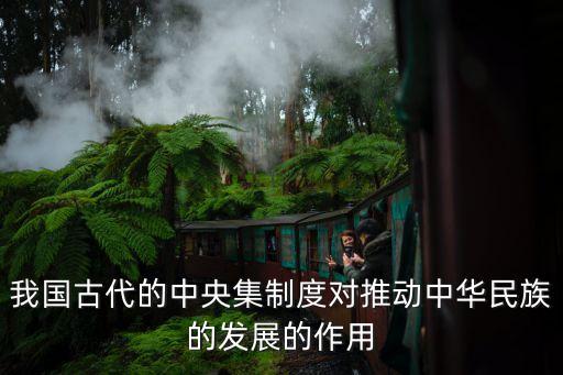 我國古代的中央集制度對(duì)推動(dòng)中華民族的發(fā)展的作用