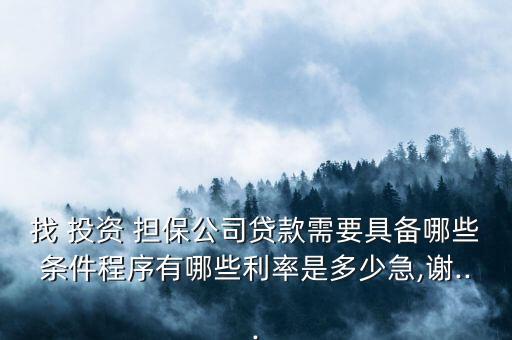 南京捷順投資擔保有限公司