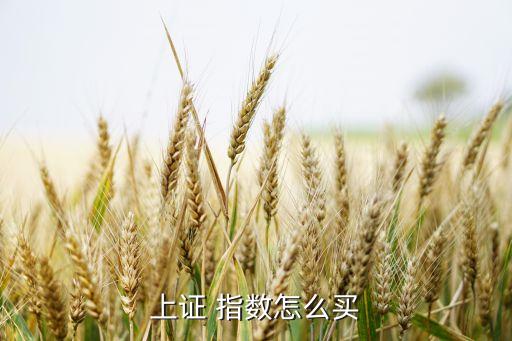 股票指數(shù)即時(shí)買賣規(guī)則,投資者買賣行為與股票指數(shù)的關(guān)系