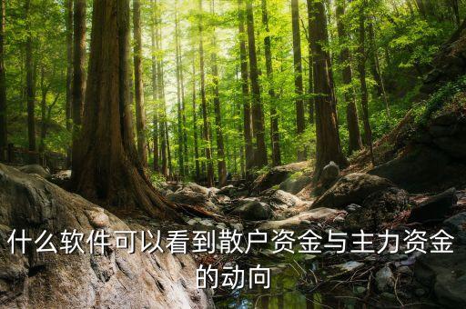 怎么查看股票莊家活動(dòng),怎么知道股票有沒有莊家