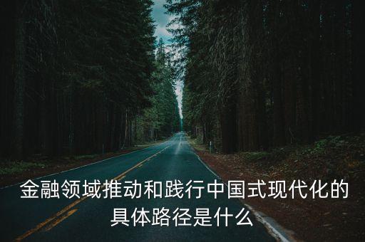 中國金融能力導(dǎo)論