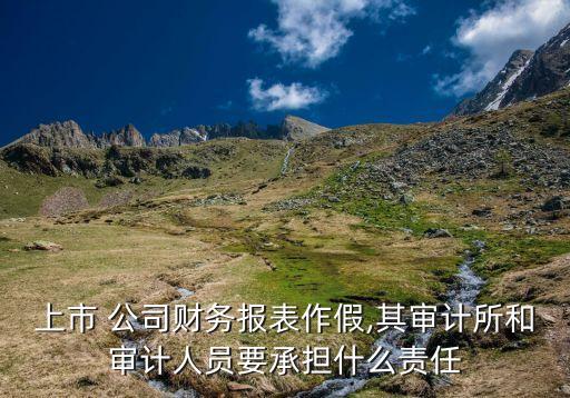 2013公司財(cái)報(bào),阿里巴巴2013年財(cái)報(bào)