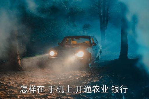 怎樣在 手機上 開通農業(yè) 銀行