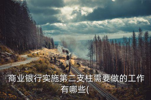 商業(yè)銀行在制定資本規(guī)劃時,下列關(guān)于商業(yè)銀行資本規(guī)劃的表述錯誤的是