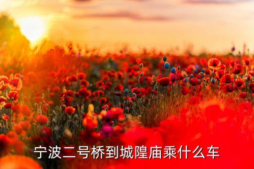 寧波二號(hào)橋到城隍廟乘什么車(chē)