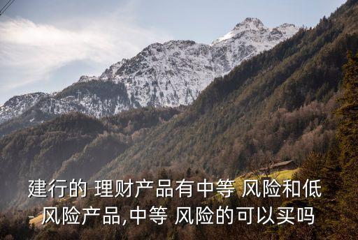建行的 理財產(chǎn)品有中等 風(fēng)險和低 風(fēng)險產(chǎn)品,中等 風(fēng)險的可以買嗎